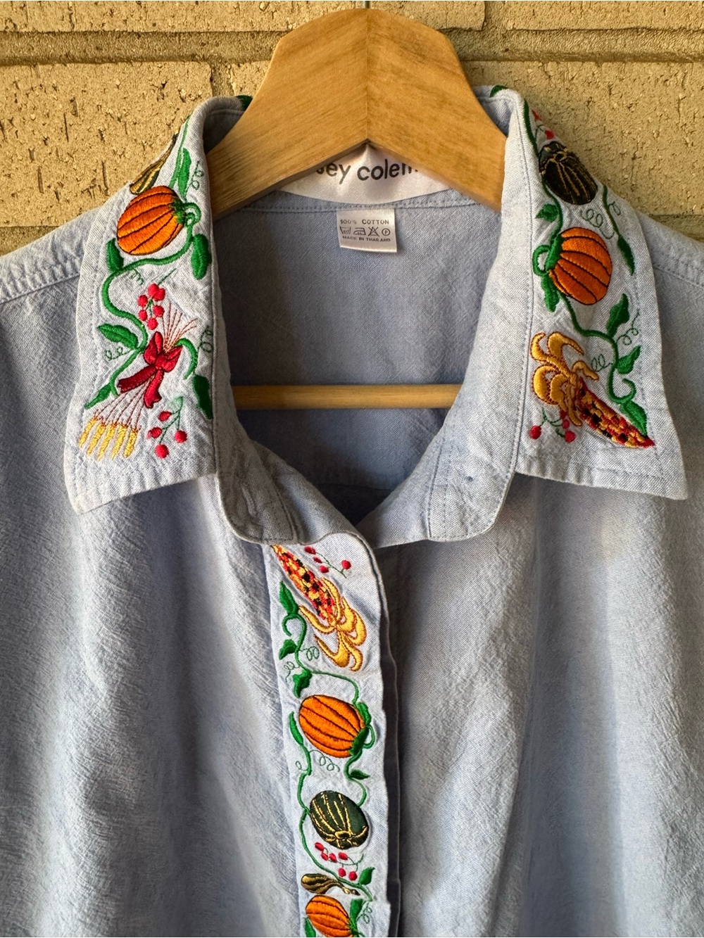 Vintage Casey Coleman Chambray Shirt Embroidered Fall Harvest 90s Teacher Autumn